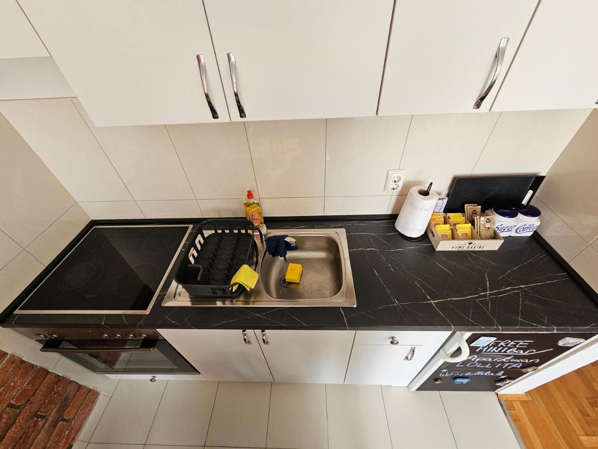 Apartman Lollita 巴尼西卢卡 外观 照片