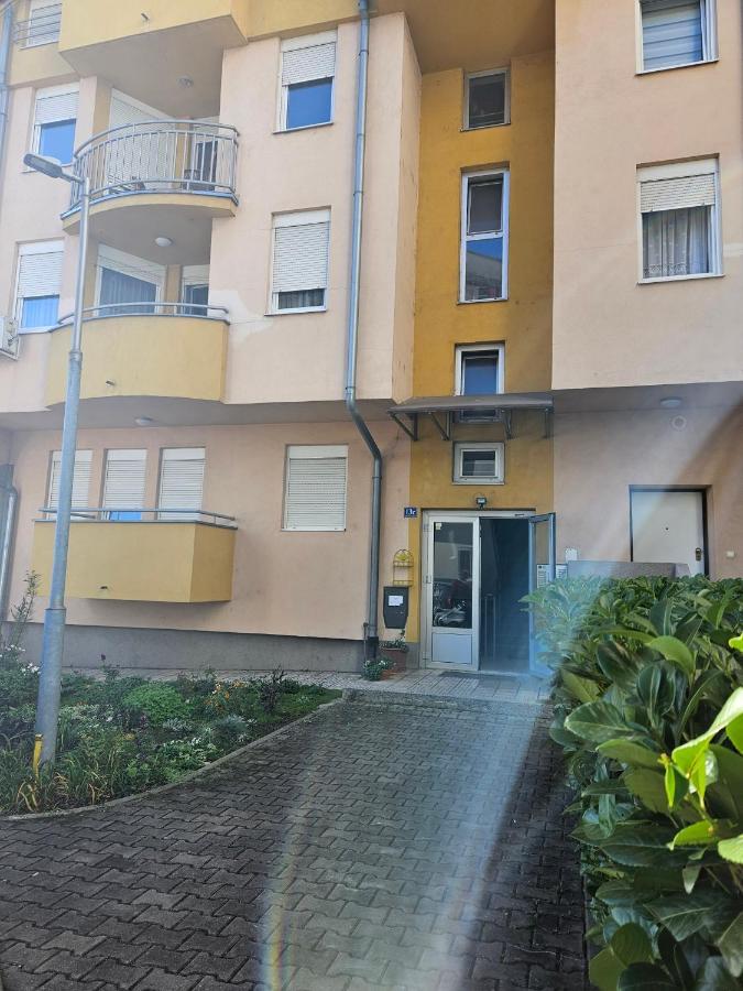 Apartman Lollita 巴尼西卢卡 外观 照片
