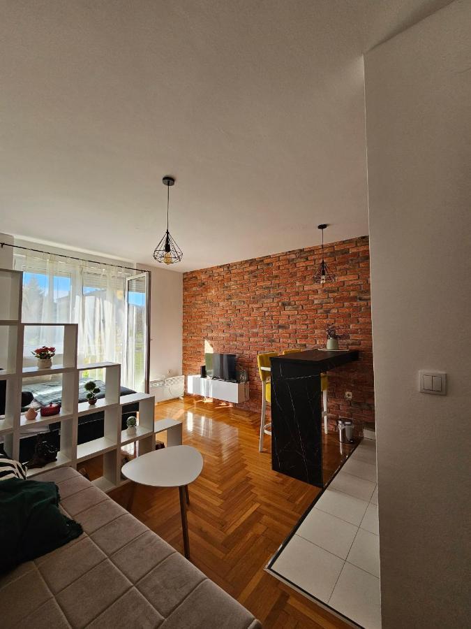 Apartman Lollita 巴尼西卢卡 外观 照片
