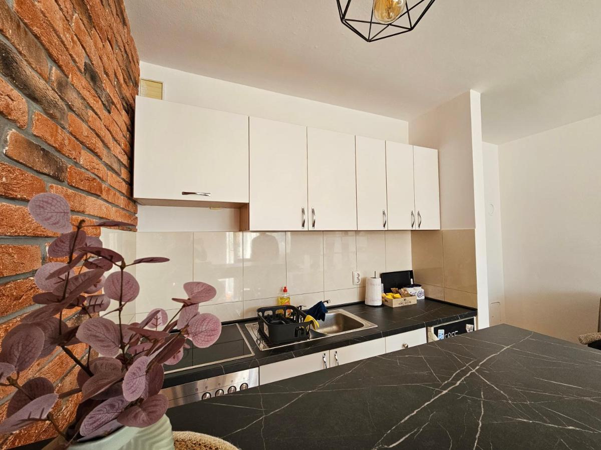 Apartman Lollita 巴尼西卢卡 外观 照片